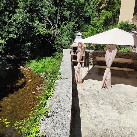 Apartamentos El Rincon De Limes Cangas De Narcea Zewnętrze zdjęcie