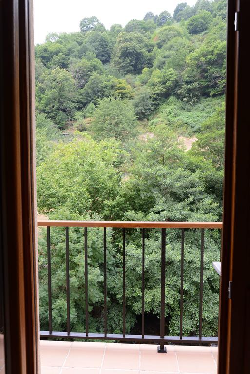 Apartamentos El Rincon De Limes Cangas De Narcea Pokój zdjęcie