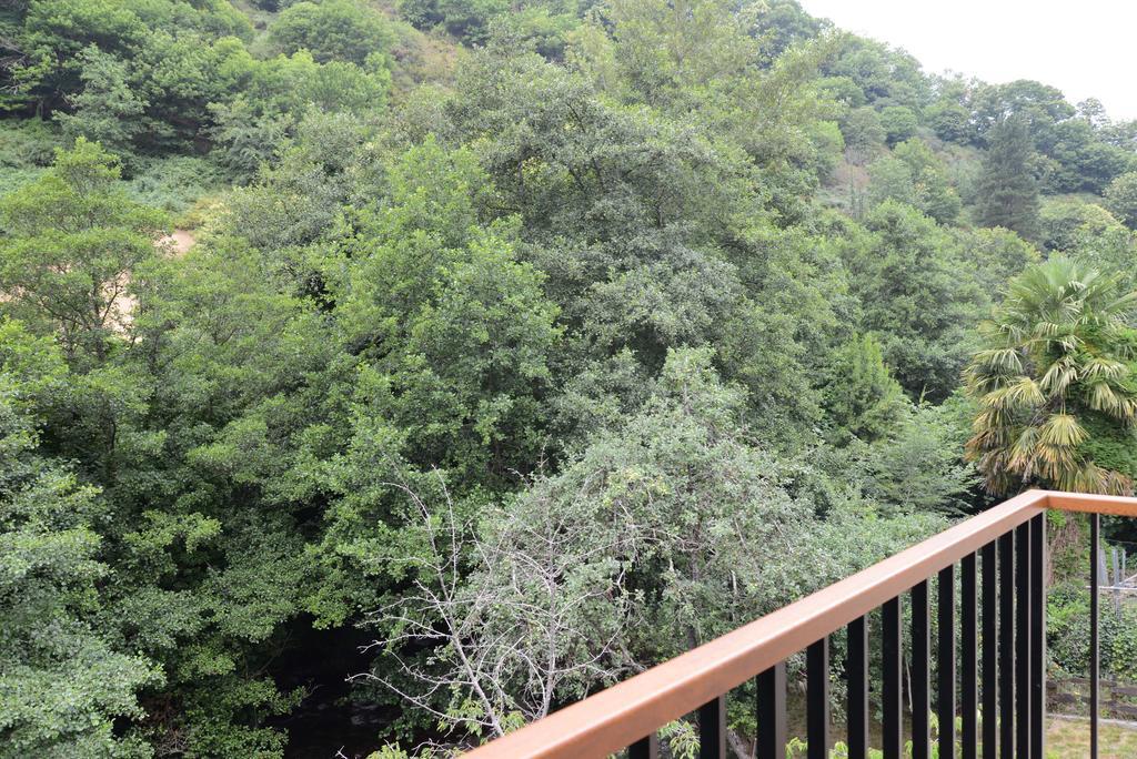 Apartamentos El Rincon De Limes Cangas De Narcea Pokój zdjęcie