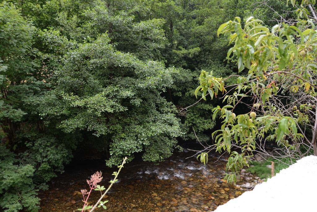 Apartamentos El Rincon De Limes Cangas De Narcea Pokój zdjęcie