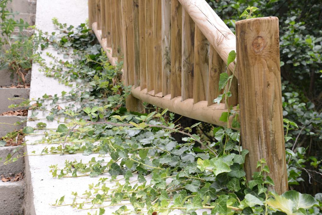 Apartamentos El Rincon De Limes Cangas De Narcea Pokój zdjęcie