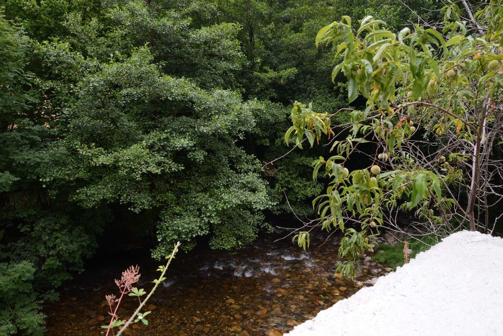 Apartamentos El Rincon De Limes Cangas De Narcea Pokój zdjęcie