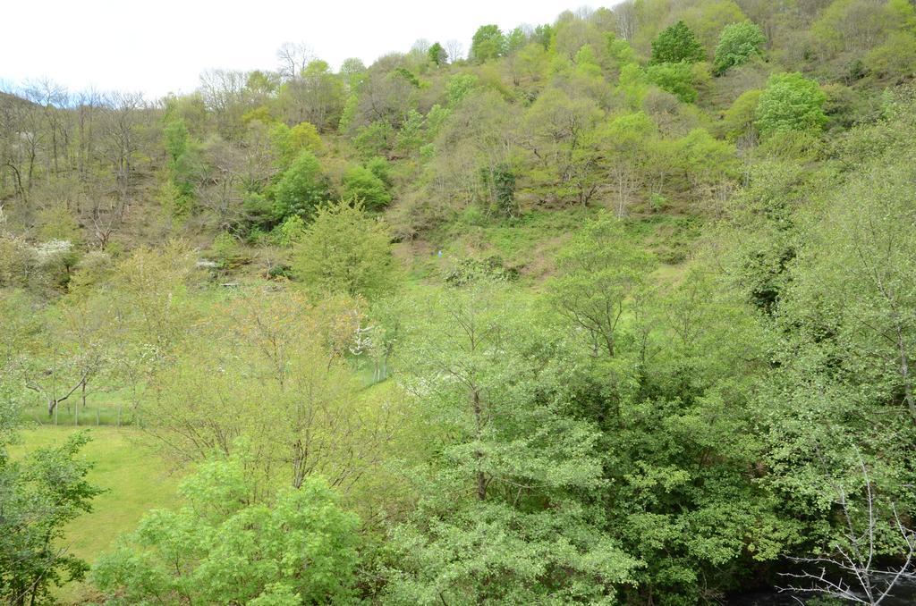 Apartamentos El Rincon De Limes Cangas De Narcea Zewnętrze zdjęcie
