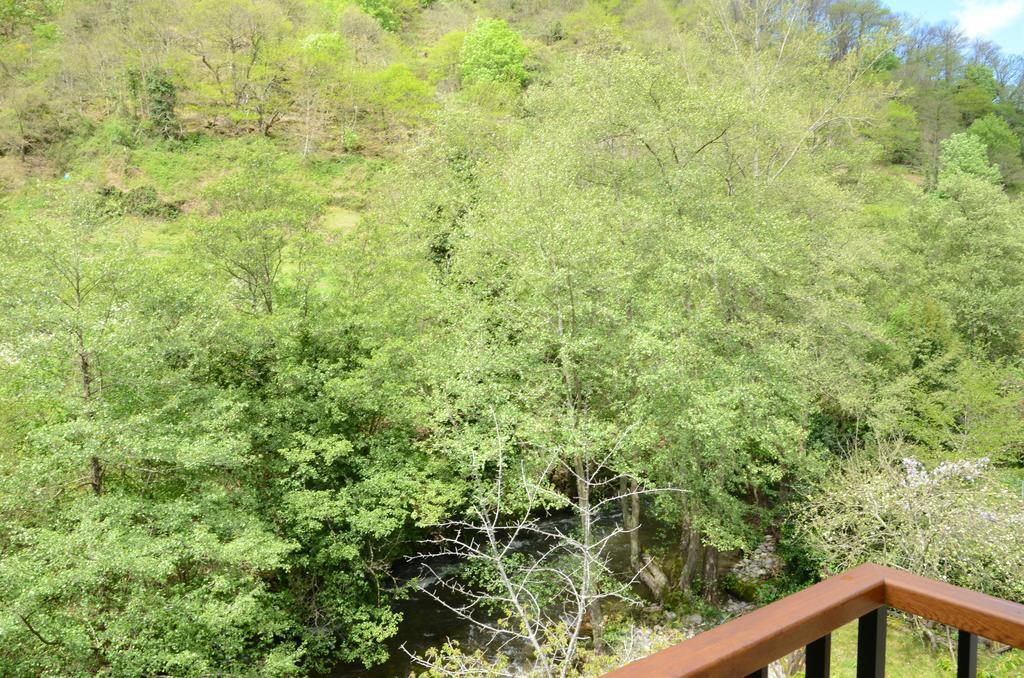 Apartamentos El Rincon De Limes Cangas De Narcea Zewnętrze zdjęcie