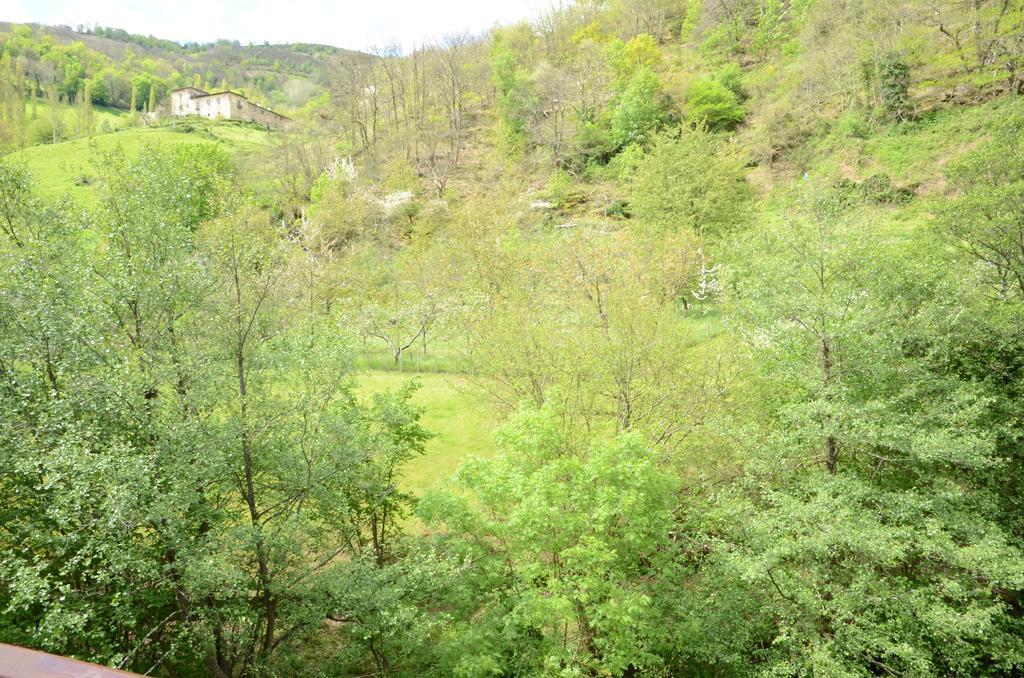 Apartamentos El Rincon De Limes Cangas De Narcea Zewnętrze zdjęcie